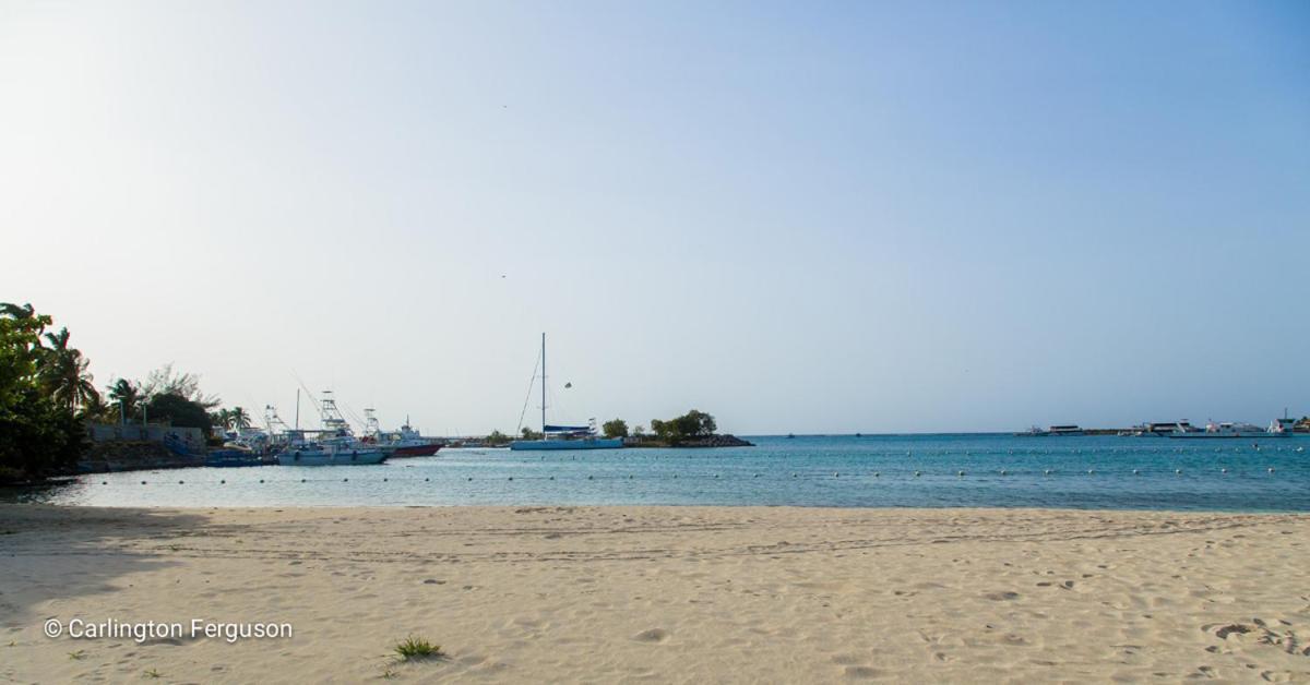 Turtle Beach Towers Ocho Rios Exterior foto